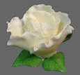 Candle31