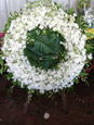 Forever White 2