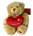Love me Teddy Bear