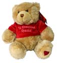To Someone Special Teddy Bear