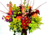 Colorful Mix
