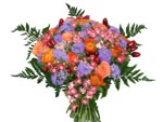 Violet and Orange