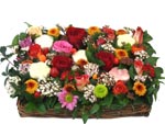 Beauty Mix