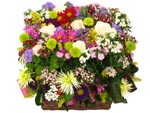 Spring Basket
