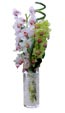Giant Orchid
