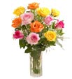 Tricolor Roses