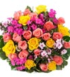 Pink and Yellow Roses