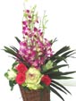Colorful Sensation