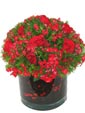 Simply Red