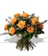 Orangy Roses