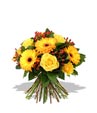 Brighten The Day