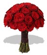 Rose Elegance