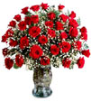 Red Beauty