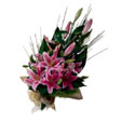 Lovely Lilies
