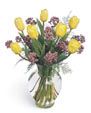 Yellow and Purple
