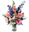 Pink And Violet