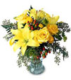 Yellow Cluster