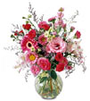 Pink Mix