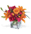 Fuschia And Orange