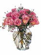 Pinkish Roses