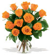 Orange Roses