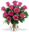 Fushia Roses