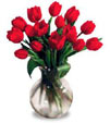 Red Caress