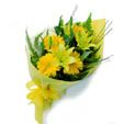 Yellow Delight