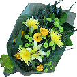 Yellow And Green