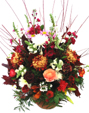 Spider Arrangement