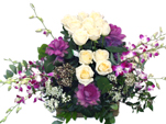 White and Violet Bloom