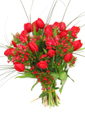Red Tulips