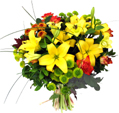 Yellowish Mix