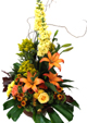 Yellow And Orange Bloom
