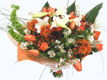 Orange And White Duo