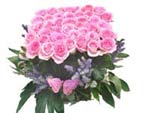 Pink Elegance