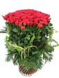 Red Love