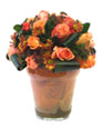 Orangy Delight