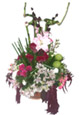 Lilium & Lucky Bamboo