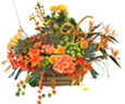 Paradise Basket
