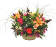 Mystique Blooms