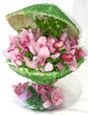 Orchids In Seashell