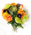 Orangy Green
