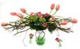 Love Nest Tulips
