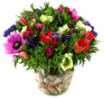 Mix Bunch