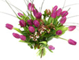 Purple Tulips