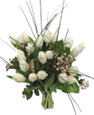White Tulips