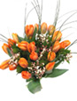 Orange Tulips