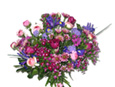 Blooms Of Spring
