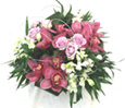 Pink &Lavender Cluster